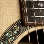 Closeup - abalone rosette and snakewood fretboard binding