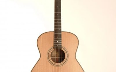 Name a Bailey Guitar! And win a valuable prize….