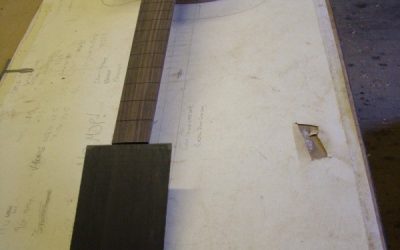 Custom Build – Set neck, Single cut, Flamed Cap- P4