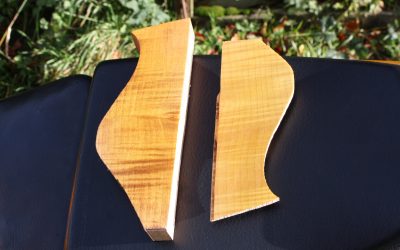 Custom Build – Set neck, Single cut, Flamed Cap- P9